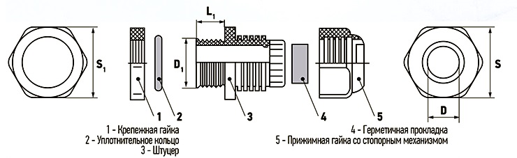 mg pg